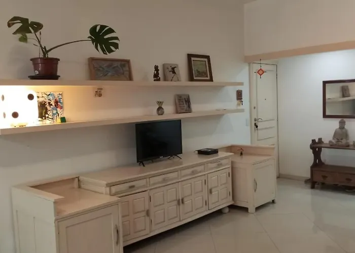 Apartamento Espacoso Em Laranjeiras